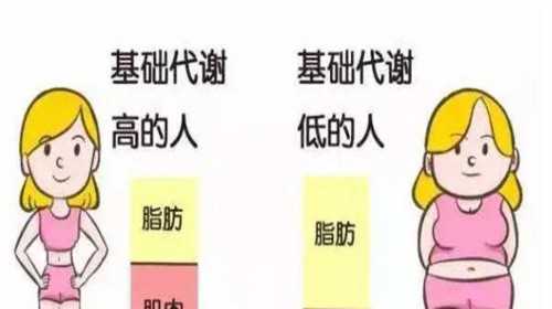 武汉爱心捐卵网站 在湖北省做试管大约多少钱?附2023武汉协和试管助孕费用指南